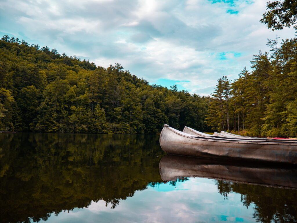 birthday august north carolina