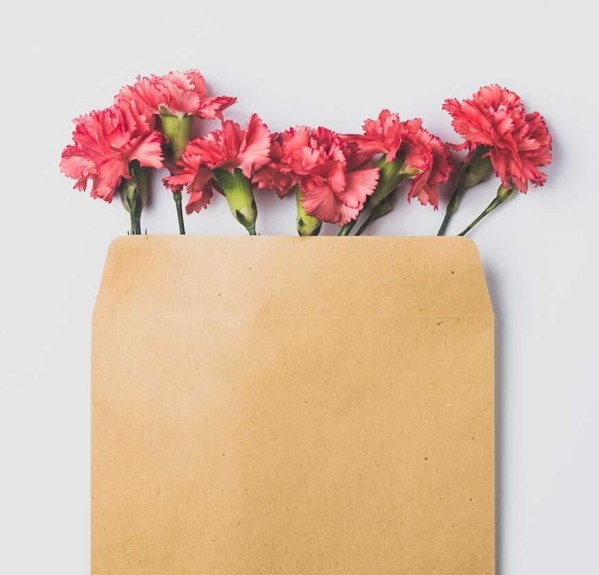 pink roses on brown paper bag