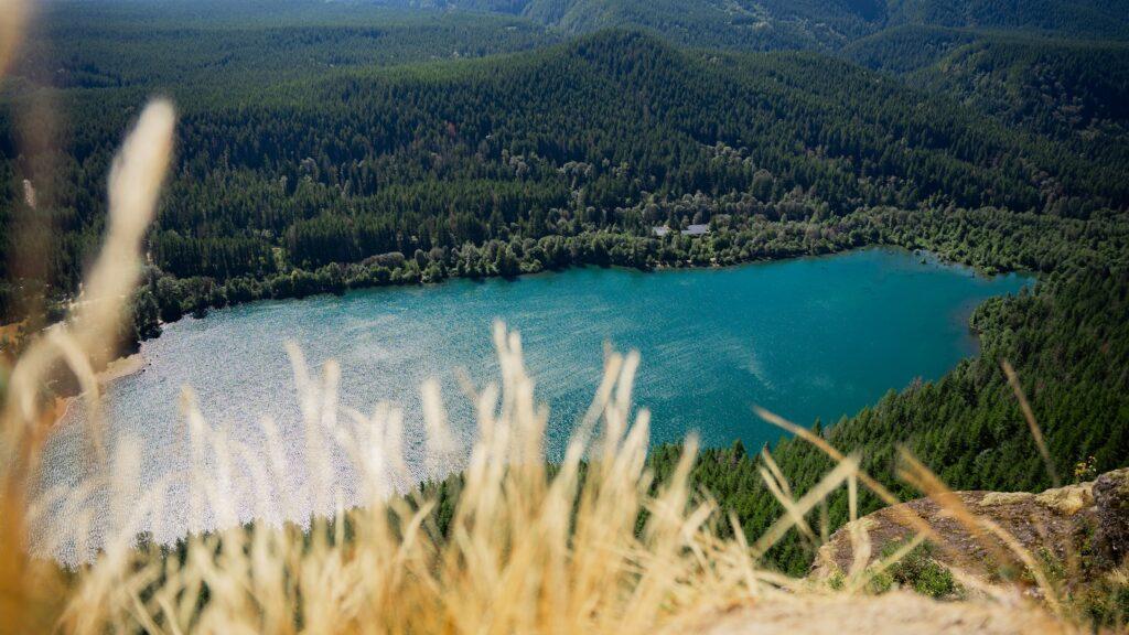 a lake surrounded by trees